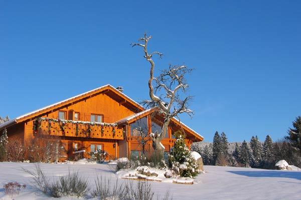 B&B Chalet L'Epinette Gérardmer Exterior foto